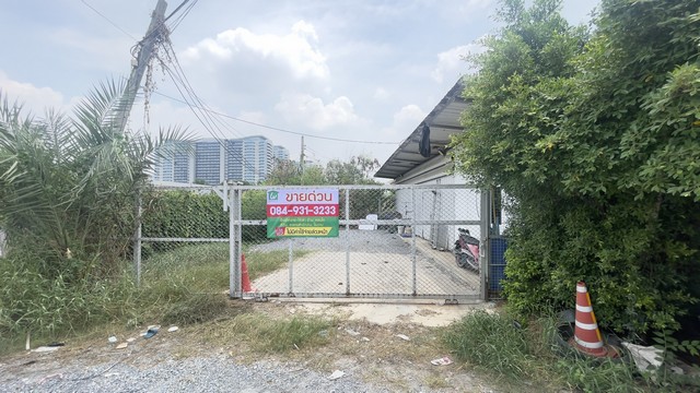 ขายที่ดินถมแล้ว 100 ตร.วา ทำเลทอง ใกล้แจ้งวัฒนะ ขายที่ดินถมแล้ว 100 ตร.วา ทำเลทอง ใกล้แจ้งวัฒนะ
