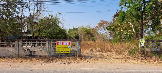 ขายด่วน ที่ดิน 1-0-07 ไร่ ใกล้ห้วยหลัว ติดคำปุ่นคาเฟ่ เมืองชัยภู ขายด่วน ที่ดิน 1-0-07 ไร่ ใกล้ห้วยหลัว ติดคำปุ่นคาเฟ่ เมืองชัยภู