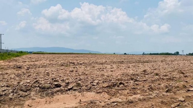 ขายที่ดินหนองไผ่แก้ว บ้านบึง ชลบุรี ขายที่ดินหนองไผ่แก้ว บ้านบึง ชลบุรี