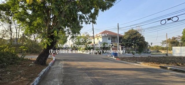 ขายที่ดินเปล่าถมแล้วในโครงการจัดสรร (หัวมุม) 101 ตร.ว. ถ.พุทธมณฑล ขายที่ดินเปล่าถมแล้วในโครงการจัดสรร (หัวมุม) 101 ตร.ว. ถ.พุทธมณฑล