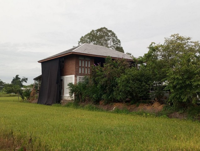 เช่าหรือซื้อยังไงก็คุ้ม ให้เช่าสถานที่ถ่ายทำหนังละคร ไทรน้อย เช่าหรือซื้อยังไงก็คุ้ม ให้เช่าสถานที่ถ่ายทำหนังละคร ไทรน้อย