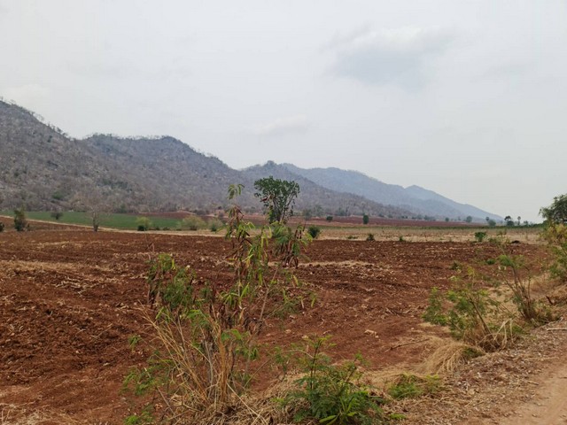 ������ͫ����ѧ䧡���� ���/��� ���Դ���� �.���ͧ �.������ä� 