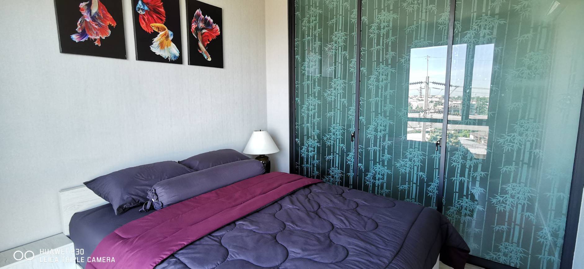 ��¤͹� ਴Ѻ���� �൪�� �ͷ ����Թ��� ���ö俿������ժ���