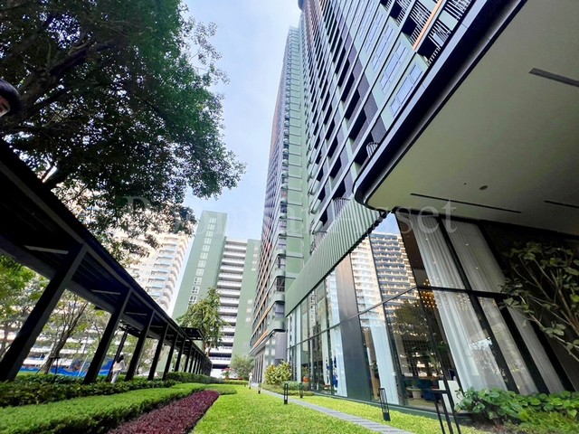 �͹� The Line Vibe �Ҵ�����  