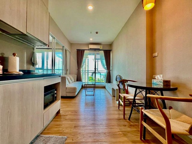 ��¤͹� The Zea Sriracha ��� 19 ��Ƿ���+���ͧ ����ӹ�¤����д�