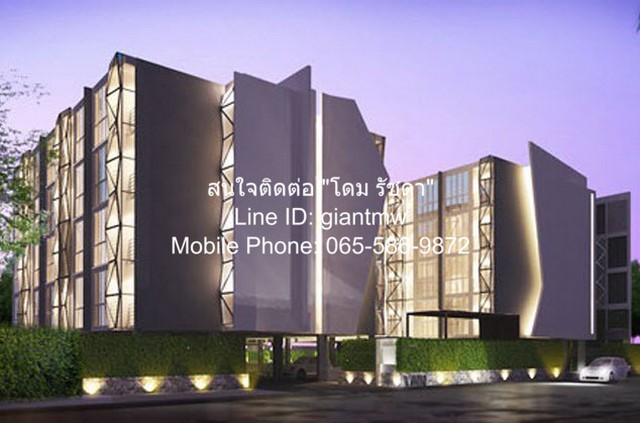 ��¤͹� �Թ�� (VINN) ��ʫ�ഹ�� �آ���Է 46 ��� 2 ��Ҵ 34.40 ��