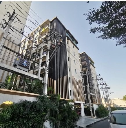 ��¤͹�����ͧ�ҧ�ع��¹ ��ا෾��ҹ�� 