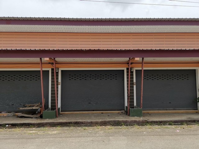 ��� �֡�� ��� ྪ���� ��� 14 �˹�ͤ�ͧ ��к�� 