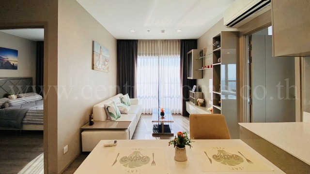 ��´�ǹ �͹� ��� ���᷹ �տ ��������Ẻ Panorama ���������