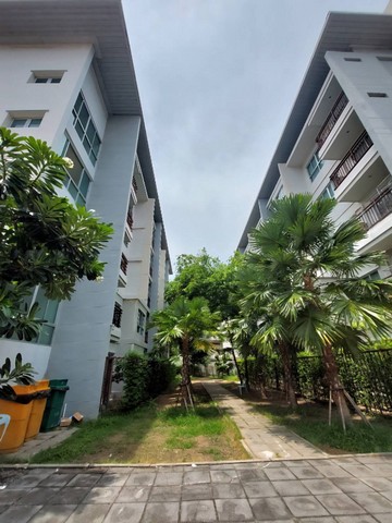 ให้เช่า คอนโดเดอะคิวบ์ แจ้งวัฒนะ เข้าซอย150 เมตร ใกล้BTS ให้เช่า คอนโดเดอะคิวบ์ แจ้งวัฒนะ เข้าซอย150 เมตร ใกล้BTS