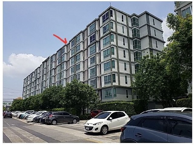 ��¤͹�����ͧ ࢵ������ ��ا෾�  