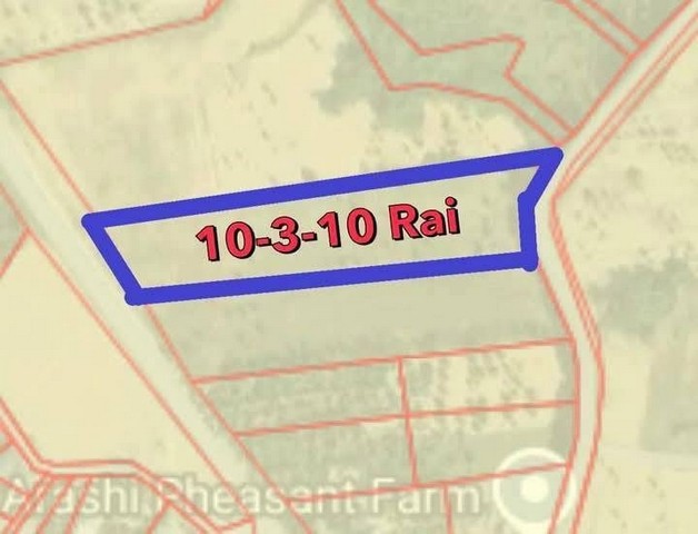 ��·��Թ�������ҪҪź��� ���ͷ�� 10-3-10���