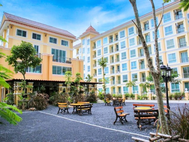 ��� ���� ᫧����� ���˭�  ��Ҵ 24.19 ��.�. 