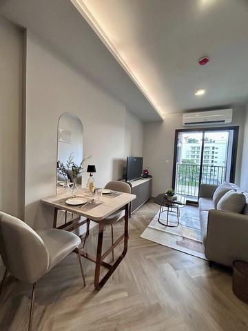 ST-8514 ��ҧ ��� ��� ᪻���� �ͧ���� 25