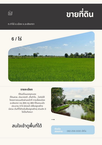 Թ¡ŧ 6  зҹ   .ԧ