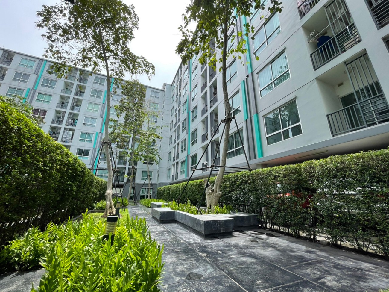 ��¤͹�����ͧ ࢵ�ѹ����� ��ا෾� �ç��� ��� �Ԫ �ʹ� ������