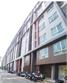 ��¤͹�����ͧ ����ͺҧ��� �ѧ��Ѵ��طû�ҡ��  