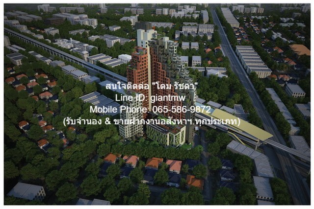 �����Ҥ͹ⴵԴö俿�� ��ԡ�� ��ѭʹԷǧ�� 64 Brix Charansanitwon