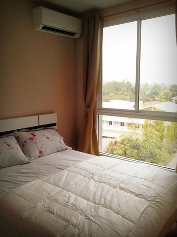 �ѹ����1 �͹� CBP ��Ǹ����ҵ� ����������� ��§����