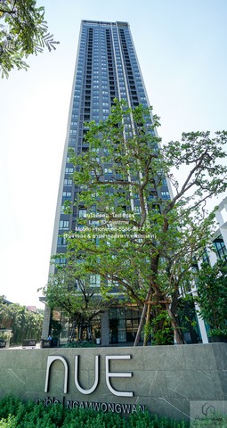 �����Ҥ͹� ��� ���� ���ǧ���ҹ (Nue Noble Ngamwongwan) Pantip