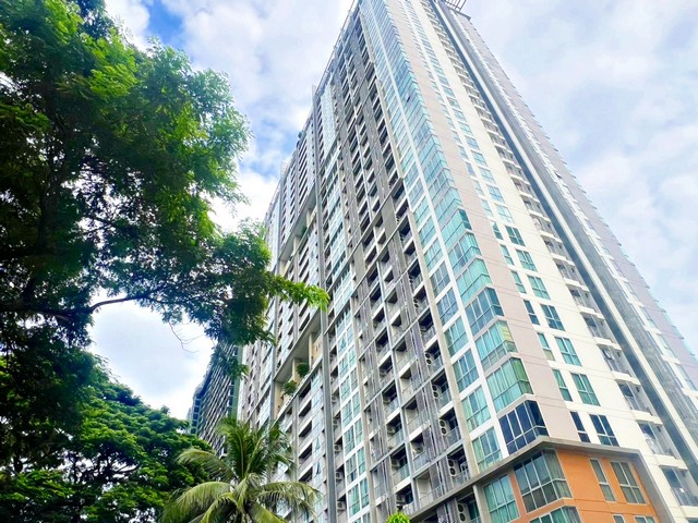 �͹� ����Ź� ����¸Թ ��ä� �Ҥ�� A 