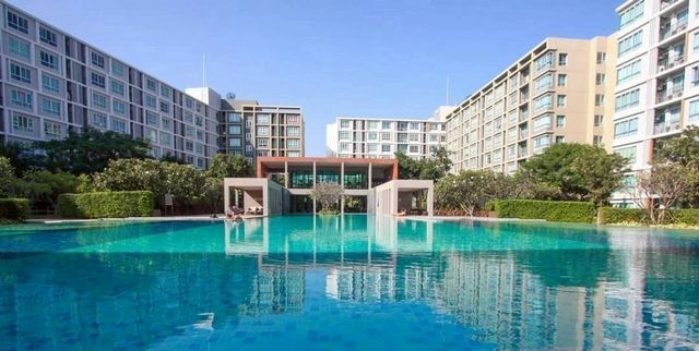 ขายด่วน 1.85 ล. 30 ตรม. ดีคอนโด ซายน์ ห้องมุม วิว Central Festiva ขายด่วน 1.85 ล. 30 ตรม. ดีคอนโด ซายน์ ห้องมุม วิว Central Festiva