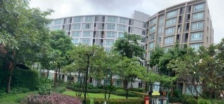 ��¤͹�����ͧ���ͧ��§���� �ѧ��Ѵ��§���� �ç��� �� �͹� ��