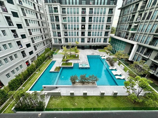 ��� �����ԡ �͹� ������ѧ-����Ҫ� (�����������) ��� �.�ɵ� 