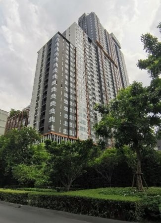 ��¤͹�����ͧ���¢�ҧ ��ا෾� �ç��� ��硫�� ���¢�ҧ