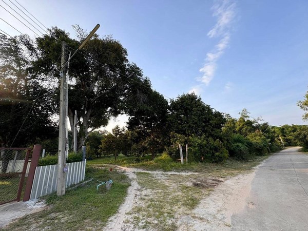 ขายด่วน ลดราคา ที่ดินสวนทุเรียนเมืองระยอง วิวภูเขา ติดแหล่งน้ำธรรมชาติ ใกล้ทะเล เนื้อที่ 4 ไร่กว่า โทร 0852619111 เจ้าของขายเอง ขายด่วน ลดราคา ที่ดินสวนทุเรียนเมืองระยอง วิวภูเขา ติดแหล่งน้ำธรรมชาติ ใกล้ทะเล เนื้อที่ 4 ไร่กว่า โทร 0852619111 เจ้าของขายเอง