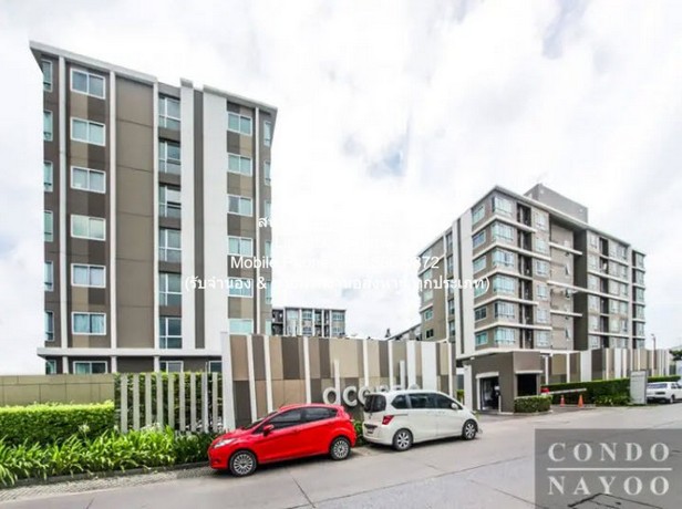 ��¤͹� �� �͹� �آ���Է 109 (D Condo Sukhumvit 109) �֡ B ���