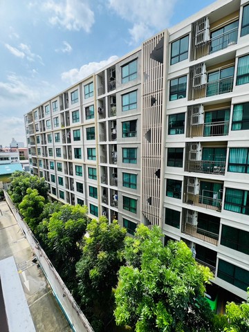 ��¤͹�������ԺٷԤ ����  2.59 ź. 2�͹ 2��� ��� 6 56.6 ��.�.