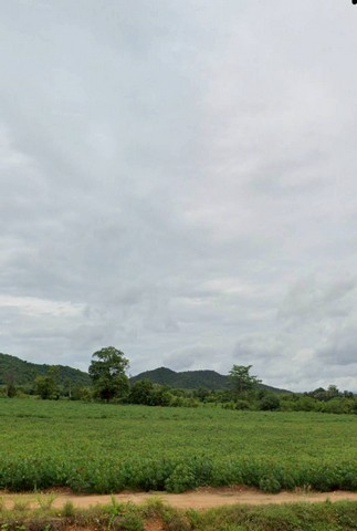 ขายถูกมาก ที่ดินแปลงใหญ่ วิวภูเขาชัดเจน ทำเลทอง อ.บ้านไร่ จ.อุทัย ขายถูกมาก ที่ดินแปลงใหญ่ วิวภูเขาชัดเจน ทำเลทอง อ.บ้านไร่ จ.อุทัย
