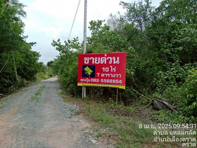 ขายที่ตราด ที่เปล่าแหลมกลัด..ที่ใกล้ทะเลติดคลองสนห่างจากทะเล100เม ขายที่ตราด ที่เปล่าแหลมกลัด..ที่ใกล้ทะเลติดคลองสนห่างจากทะเล100เม