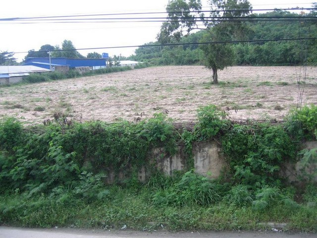 ขายที่ดินเปล่า บ้านฉาง ระยอง 6 ไร่ ติดถนนสุขุมวิท ทำเลทอง ใกล้ EE ขายที่ดินเปล่า บ้านฉาง ระยอง 6 ไร่ ติดถนนสุขุมวิท ทำเลทอง ใกล้ EE