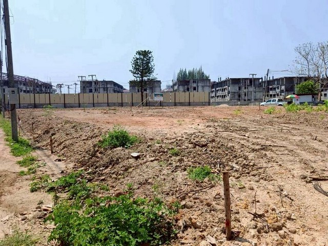 ที่ดินแปลงสวย วิวไม่บัง โซนพืชสวนโลก หมู่บ้านพฤกษาดอยคำ หางดง ที่ดินแปลงสวย วิวไม่บัง โซนพืชสวนโลก หมู่บ้านพฤกษาดอยคำ หางดง