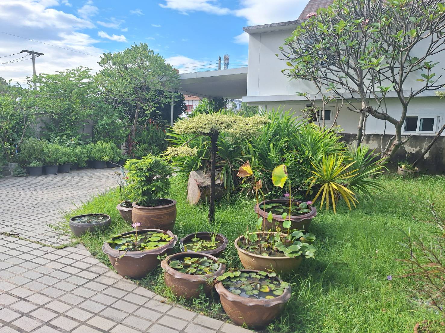 ·Թҹ 2 ѧ ҹͧ͡, Ҵҡ