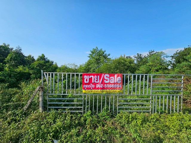 ·ҪյԴҧǧ ·ԹԴ˹ҡҧ