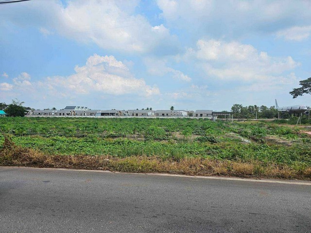 ขายที่เปล่าติดถนนหลักห้า อำเภอดำเนินสะดวกราชบุรี ขายที่เปล่าติดถนนหลักห้า อำเภอดำเนินสะดวกราชบุรี