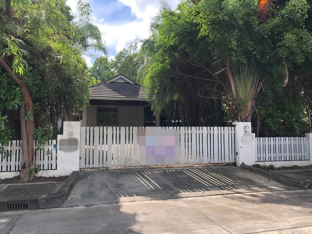 ºҹͧͧͧ  çѵ Ť ͧ