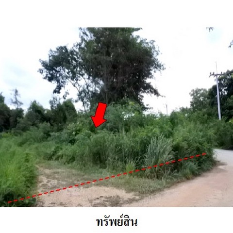 ·Թҧç ǹŹ 4  Ѻ  ͧ