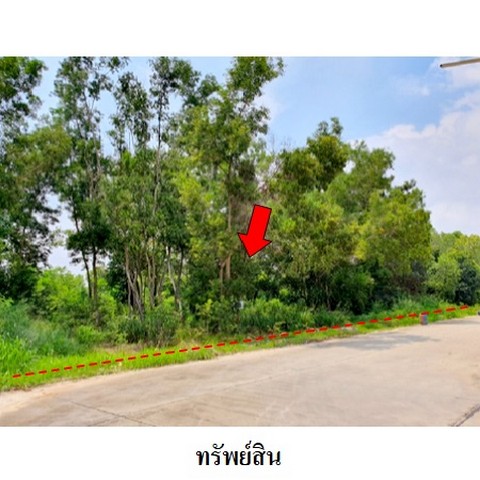 ขายที่ดินว่างเปล่าโครงการ สวนวลีแลนด์ 4 ทับมา ระยอง ขายที่ดินว่างเปล่าโครงการ สวนวลีแลนด์ 4 ทับมา ระยอง