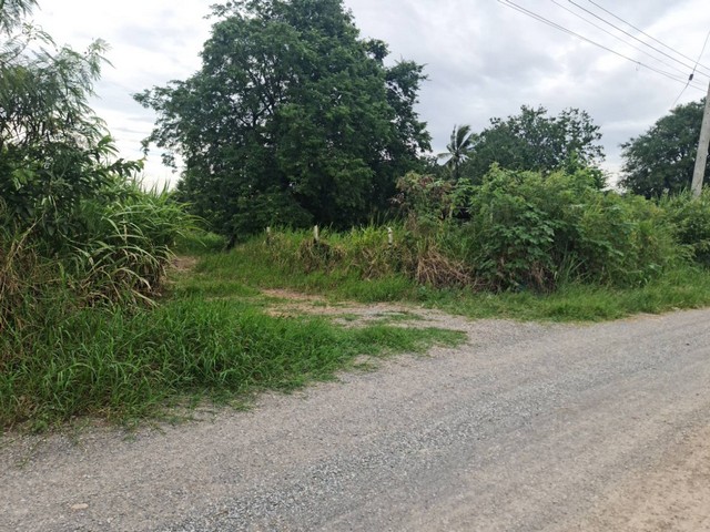 Թҹ͹Ңͧͧ 2-8⩹ .ѧ  2.9 ź