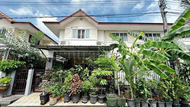 Ŵçҹա ҹὴ ѹԹ ͹ͧ - ç