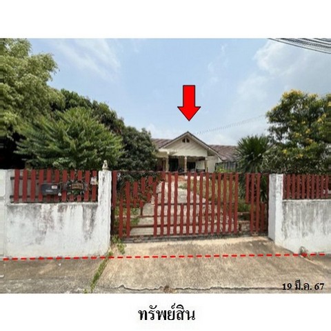 ºҹç ҡŹ  ԤѲ ѧѴ ͧ