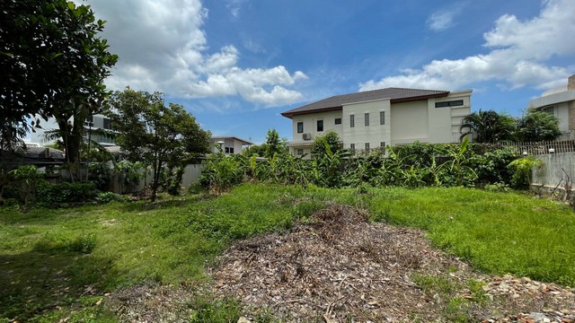 ·Թ 282 .. ҹ⢹ .آԷ 71 .մվ§ 14 ·Թ 282 .. ҹ⢹ .آԷ 71 .մվ§ 14