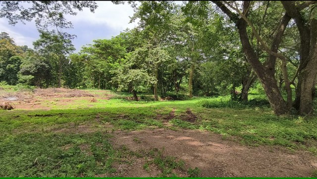 ���Թ������� ��ҹ�� �ҧ�� ��§���� ����ҡ�ȸ����ҵ�