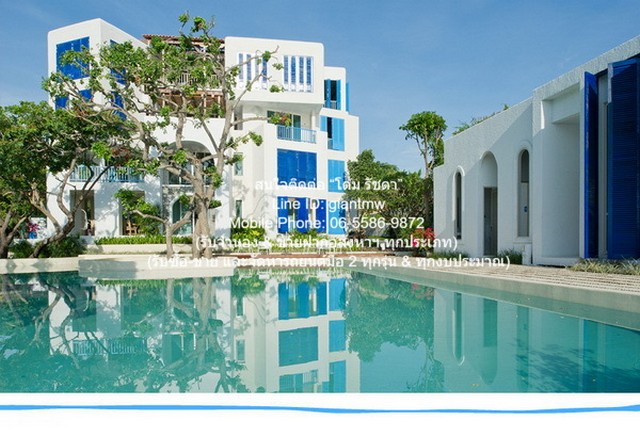 ��¤͹ⴵԴ���� ��Ź�� ����� (Chelona Khao Tao) �֡ C ��� 1