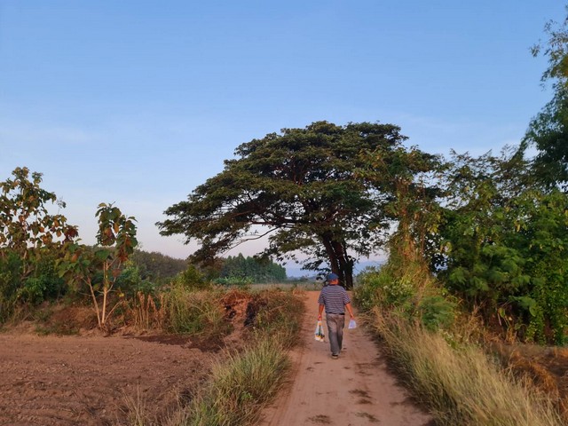 ��Ť�ҷ�������ٹ��Ѿ��㹴Թ ��·��Դ���⢧ �.�ش�� ⾹����� ˹�