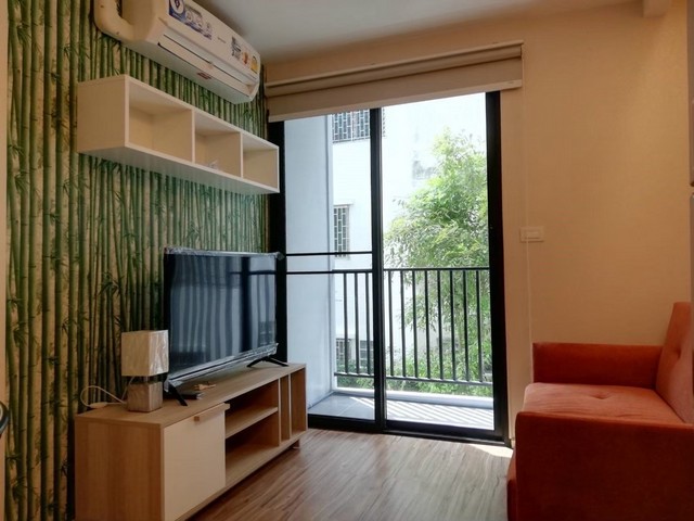 �����Ҥ͹� �ù�� �زҡ�� 53 ��� BTS �زҡ�� ����ú ��������